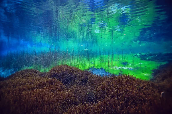 Altı Gölü Tatlı Manzarası Temiz Ekosistemi — Stok fotoğraf