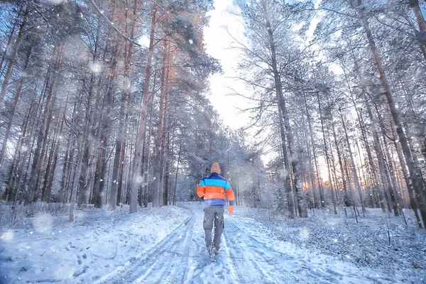 森の中のリュックを持つ男旅行者アメリカの森の冬景色北アメリカの風景 — ストック写真