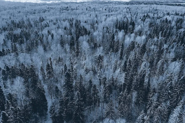 Pohled Shora Les Zimě Krajina Přírody Zasněženém Lese Letecká Fotografie — Stock fotografie