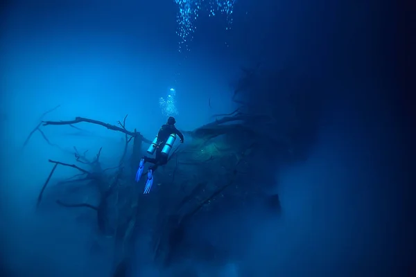 Cenote Angelita Mexico Grotta Dykning Extrema Äventyr Vatten Landskap Vatten — Stockfoto