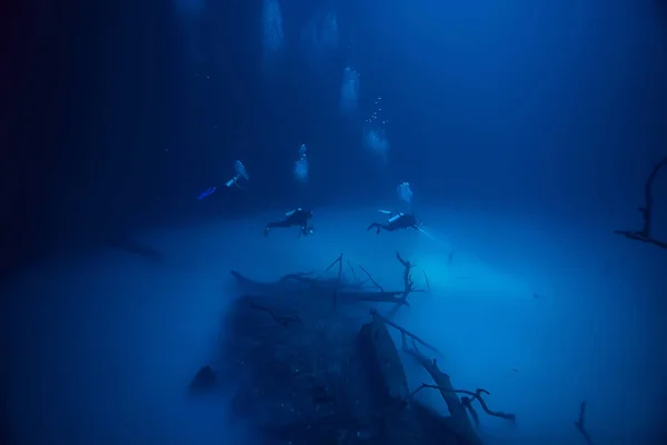 Cenote Angelita Mexico Cave Diving Extreme Adventure Underwater Landscape Water — Stock Photo, Image