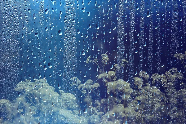Frühling Blumen Regentropfen Abstrakte Verschwommene Hintergrund Blumen Frischer Regen — Stockfoto