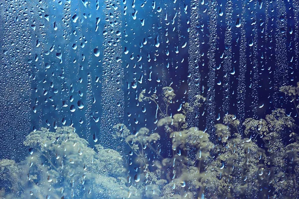 春花雨滴 抽象朦胧的背景花新鲜雨 — 图库照片