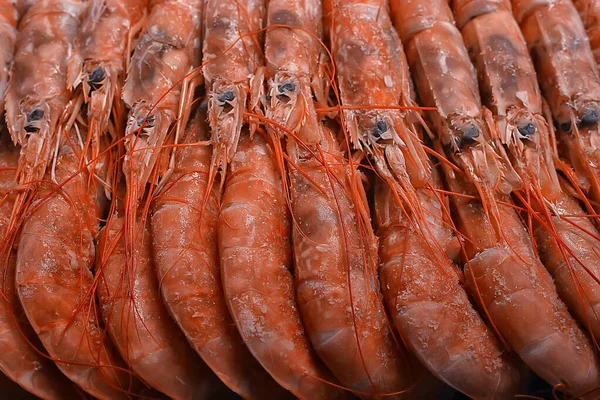 Camarões Rei Congelados Frutos Mar Fundo Macro Camarões Vermelhos Frescos — Fotografia de Stock