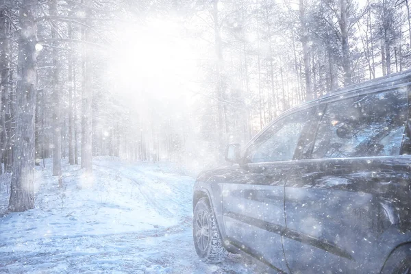 Suv Foresta Inverno Auto Una Strada Forestale Paesaggio Stagionale Vista — Foto Stock