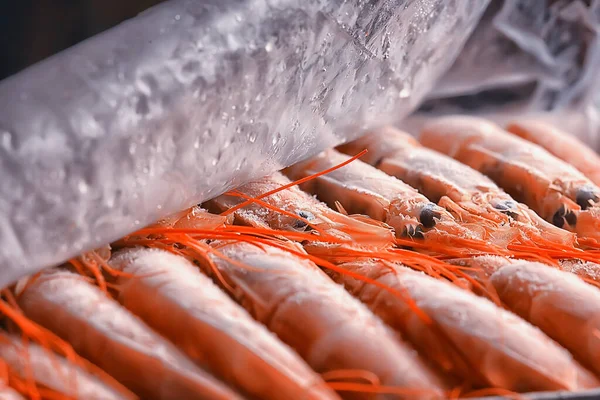 Frozen King Prawns Macro Background Seafood Fresh Red Prawns — Stock Photo, Image