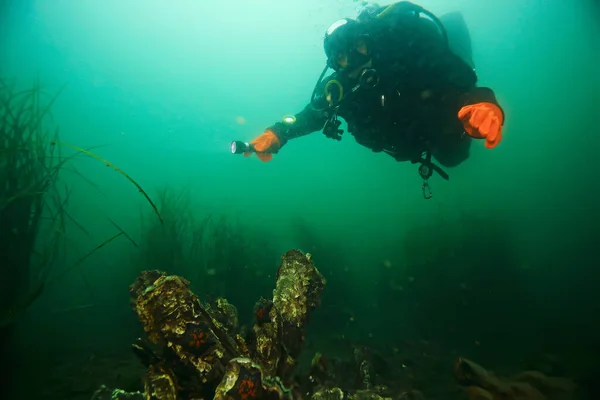 cenote angelita, mexico, cave diving, extreme adventure underwater, landscape under water fog