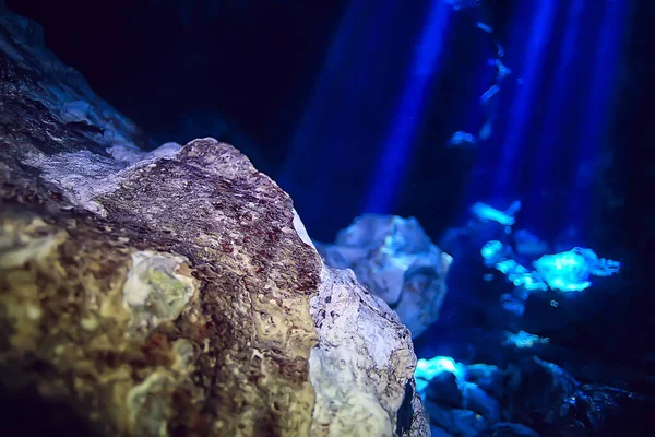 水中洞窟は風景 洞窟ダイビング ユカタンメキシコ 水中の中心部の景色 — ストック写真