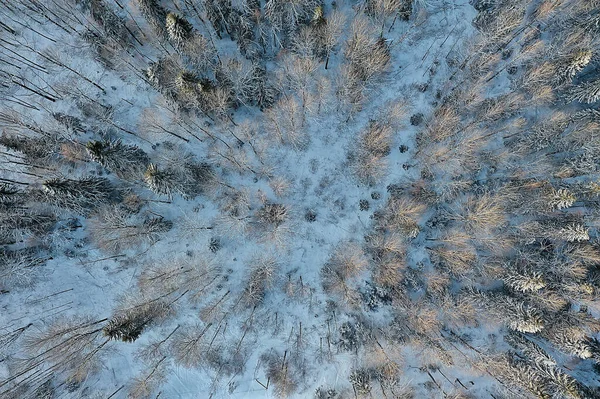 Ovanifrån Skog Vintern Landskap Naturen Snöig Skog Flygfoto — Stockfoto