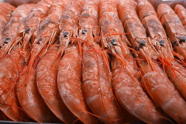 Camarões Rei Congelados Frutos Mar Fundo Macro Camarões Vermelhos Frescos — Fotografia de Stock