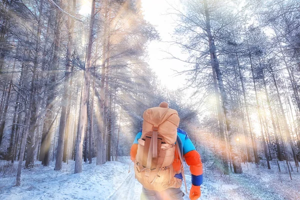 Homem Viajante Com Uma Mochila Floresta Vista Inverno Floresta Americana — Fotografia de Stock