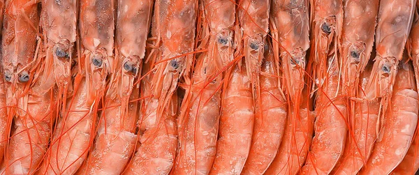 Camarões Rei Congelados Frutos Mar Fundo Macro Camarões Vermelhos Frescos — Fotografia de Stock