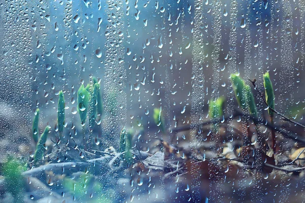 Vår Blommor Regn Droppar Abstrakt Suddig Bakgrund Blommor Frisk Regn — Stockfoto