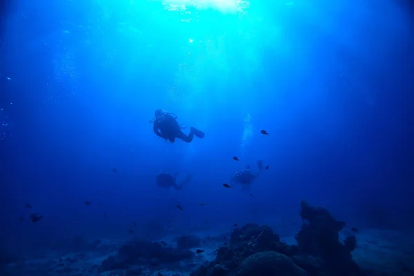 바다에서 잠수하는 잠수부들 심해에서의 활동적 오락을 즐긴다 — 스톡 사진