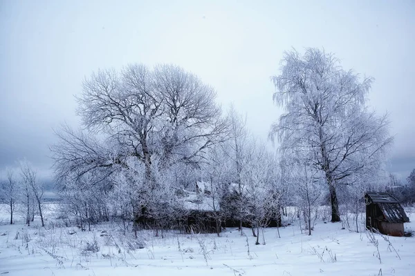 Vila Russa Inverno Paisagem Janeiro Snowfall Casas Aldeia — Fotografia de Stock