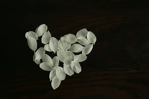 白色苹果树的花瓣落在黑色的背景上 — 图库照片
