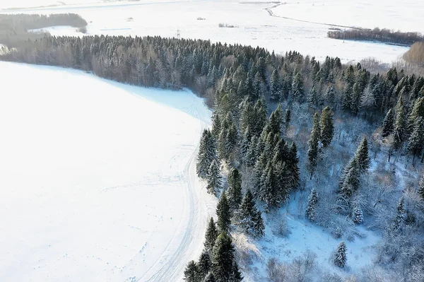 冬の森の上からの眺め雪に覆われた森の自然風景写真 — ストック写真