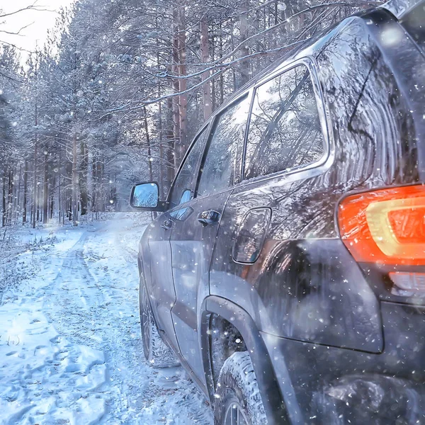 Suv Floresta Inverno Carro Uma Estrada Floresta Paisagem Sazonal Neve — Fotografia de Stock