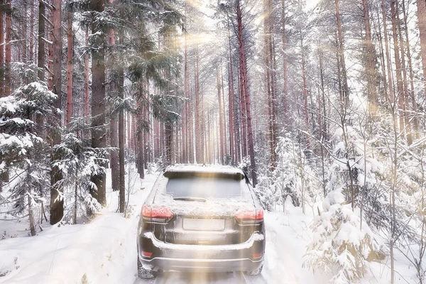汽车在冬天的森林里 风景在圣诞节的雪地里旅行 — 图库照片
