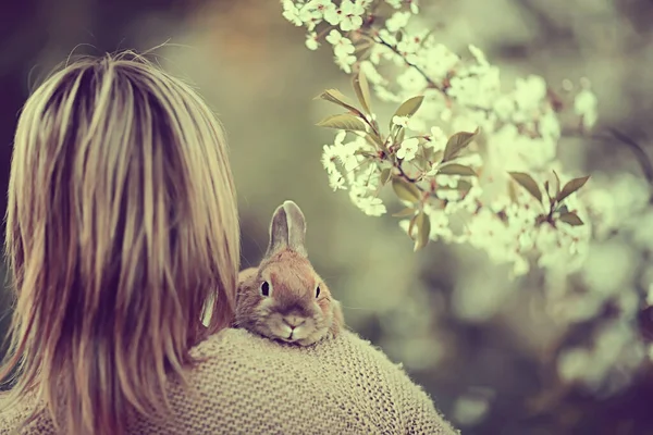 女の子は肩にウサギを抱えています東の春の背景と背中からの眺め — ストック写真