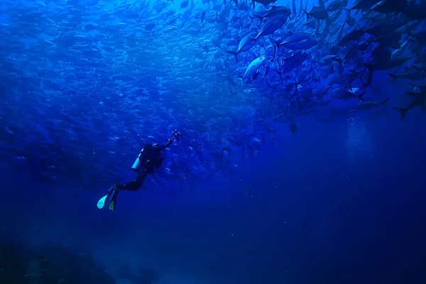 Immersioni Subacquee Scuola Pesci Pesce Tornado Vista Subacquea Ecosistema Uomo — Foto Stock