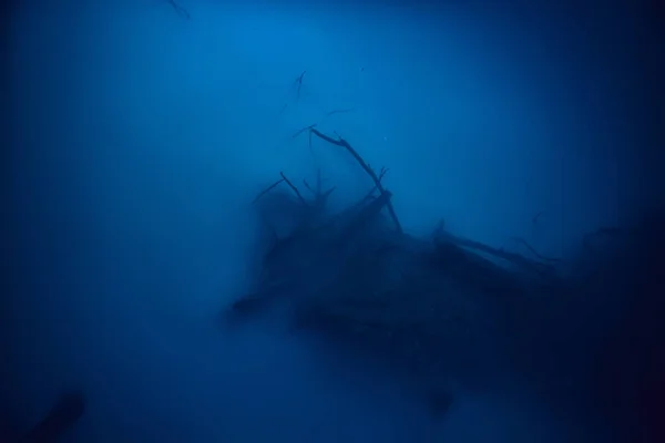 Landschaftstauchen Cenote Unterwassernebel Schwefelwasserstoff Extremabenteuer Mexiko — Stockfoto