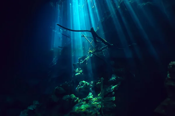 Unterwasserlandschaft Mexiko Cenoten Tauchen Lichtstrahlen Unter Wasser Höhlentauchen Hintergrund — Stockfoto