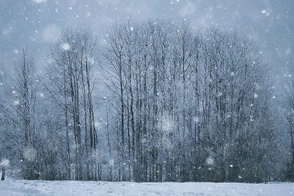 Abstrakt Snöfall Skog Bakgrund Vita Snöflingor Falla Skogslandskapet Jul Bakgrund — Stockfoto