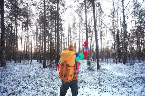 Touriste Arctique Vue Dos Homme Avec Sac Dos Touriste Scandinavie — Photo