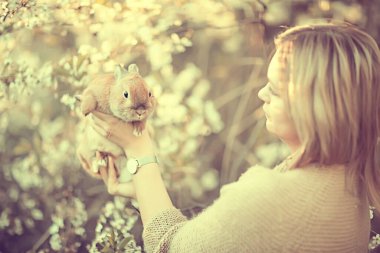 Bahar bak, elinde tavşan Paskalya kutlamaları, çiçek açan elma bahçesinde güzel bir geçmiş.