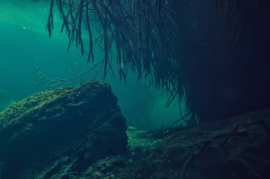 Su altı mağarası sarkıtları, mağara dalışı, Yucatan Meksika, deniz altı manzarası.