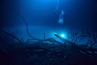 Cenote 'de peyzaj dalışı, sualtı sisi hidrojen sülfit, Meksika' da aşırı macera.