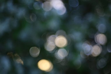 bahar bokeh soyut bulanık arkaplan, güneş ışıltısı arkaplan