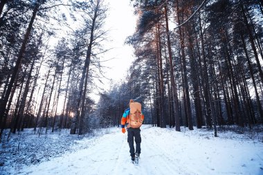 Turist, kışın arkadan manzara, doğa manzarası, kış mevsiminin dışından manzara.