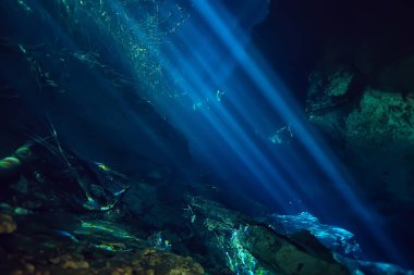Su altı mağarası sarkıtları, mağara dalışı, Yucatan Meksika, deniz altı manzarası.