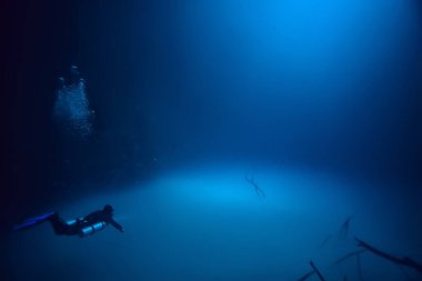 Cenote Angelita, Meksika, mağara dalışı, sualtı macerası, deniz altı sisi altındaki manzara.