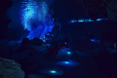 Cenotes 'a dalış, Meksika' ya, tehlikeli mağaralara Yucatan 'a dalış, karanlık mağaralara sualtı manzarası.
