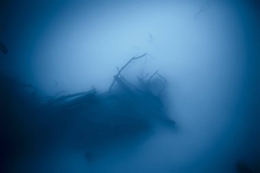 Cenote 'de peyzaj dalışı, sualtı sisi hidrojen sülfit, Meksika' da aşırı macera.