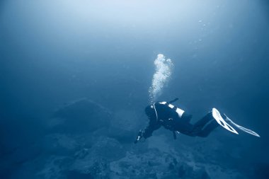Dalgıç yüzgeçleri su altından, sualtı görüntüsü tüple dalış yapan bir insanın sırtı.