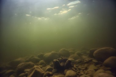 Su altı arazisindeki taşlar, su altında bulanık.