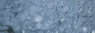 Panorama kış ormanı karları, soyut mevsimsel tayga manzarası, karla kaplı ağaçlar.