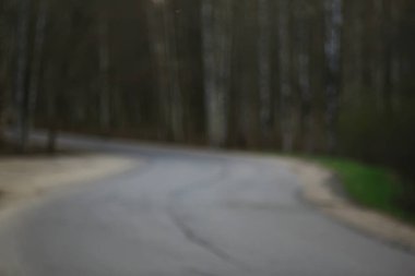 Gri bahar ormanı bulanık yol arkaplanı