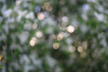 bahar bokeh soyut bulanık arkaplan, güneş ışıltısı arkaplan