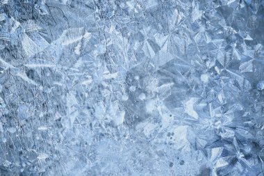 kış desenleri pencere ağaçları, soyut mevsimsel buz arkaplanı