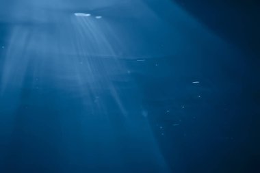 Suyun altındaki ışık huzmeleri, soyut deniz arka plan doğa ışınları bulanıklaşır