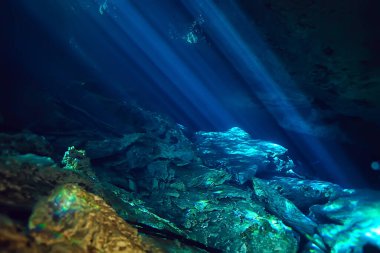 Meksika sualtı manzarası, suyun altında dalış ışınları, mağara dalışı