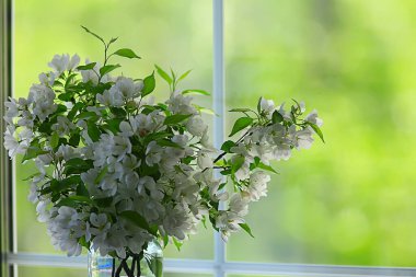 Soyut elma ağacı çiçekleri arka plan, bahar bulanık arkaplan, çiçekli dallar