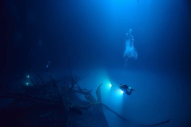 Cenote Angelita, Meksika, mağara dalışı, sualtı macerası, deniz altı sisi altındaki manzara.