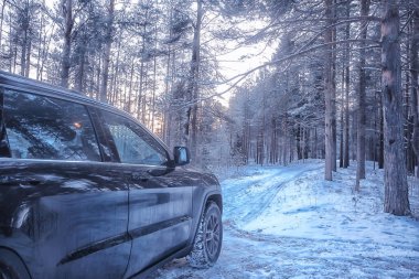 SUV orman kışı, orman yolu üzerindeki araba, manzara mevsimlik kar ormanı manzarası