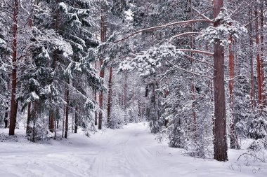 Kış yolu manzarası, güzel karlı bir yol manzarası.